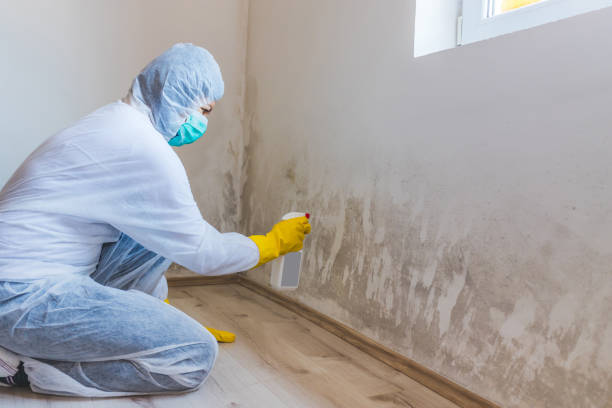Best Mold Testing  in Corrigan, TX