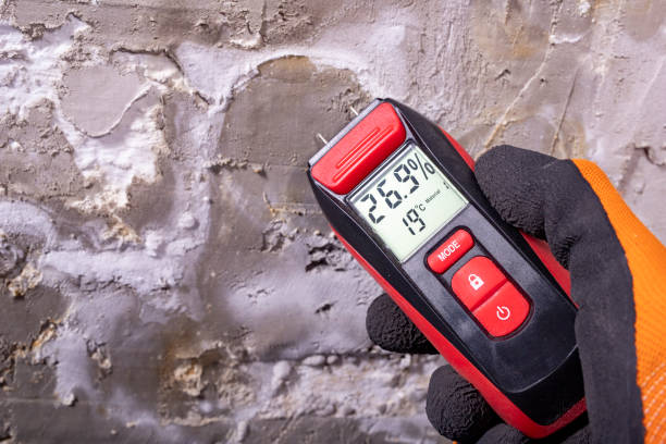 Best Black Mold Removal  in Corrigan, TX